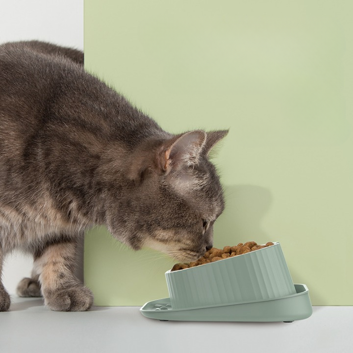SNUGPETS | SMARTER PET FEEDING, HEALTHIER PET COMPANION!!!