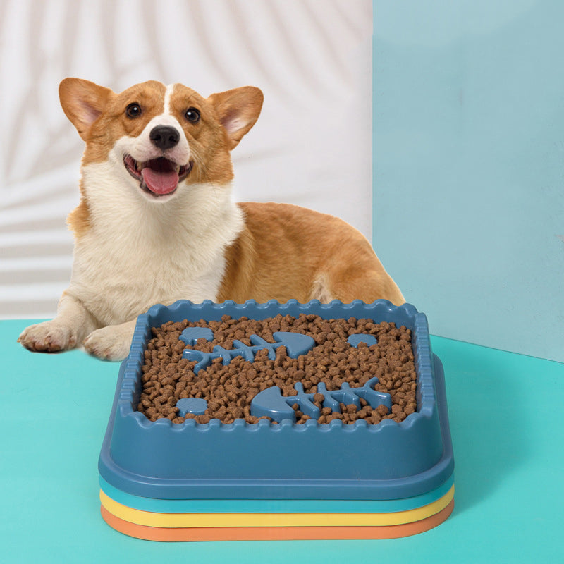 SNUGPETS | SMARTER PET FEEDING, HEALTHIER PET COMPANION!!!