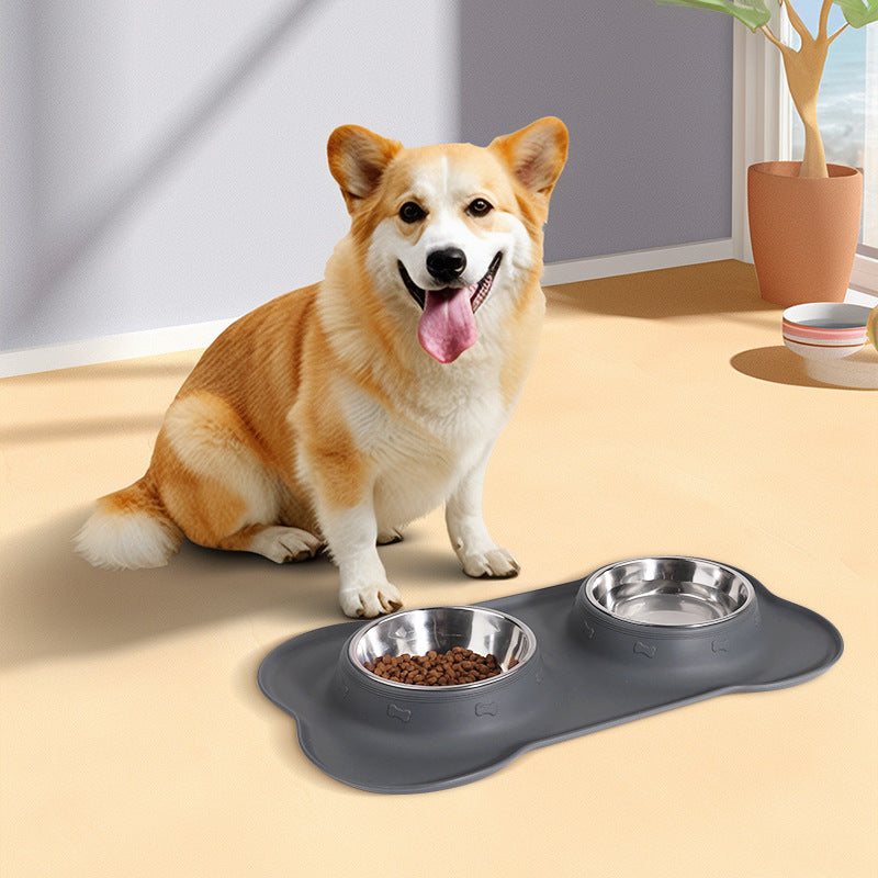 SNUGPETS | SMARTER PET FEEDING, HEALTHIER PET COMPANION!!!