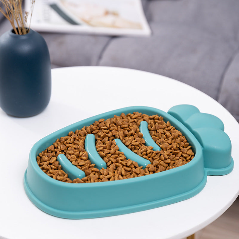 SNUGPETS | SMARTER PET FEEDING, HEALTHIER PET COMPANION!!!