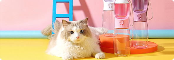 SNUGPETS | SMARTER PET FEEDING, HEALTHIER PET COMPANION!!!