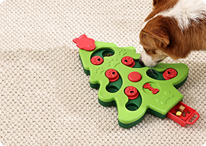 SNUGPETS | SMARTER PET FEEDING, HEALTHIER PET COMPANION!!!