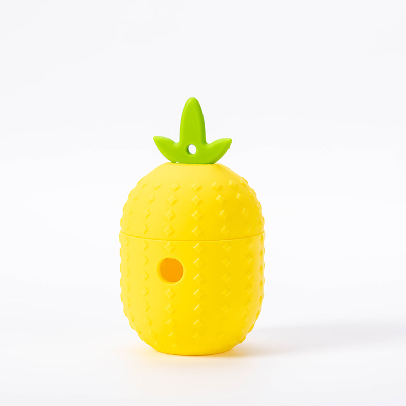 Silicone Interactive Dog Toy for Treats PT7085