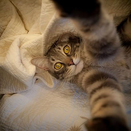 SNUGPETS | SMARTER PET FEEDING, HEALTHIER PET COMPANION!!!
