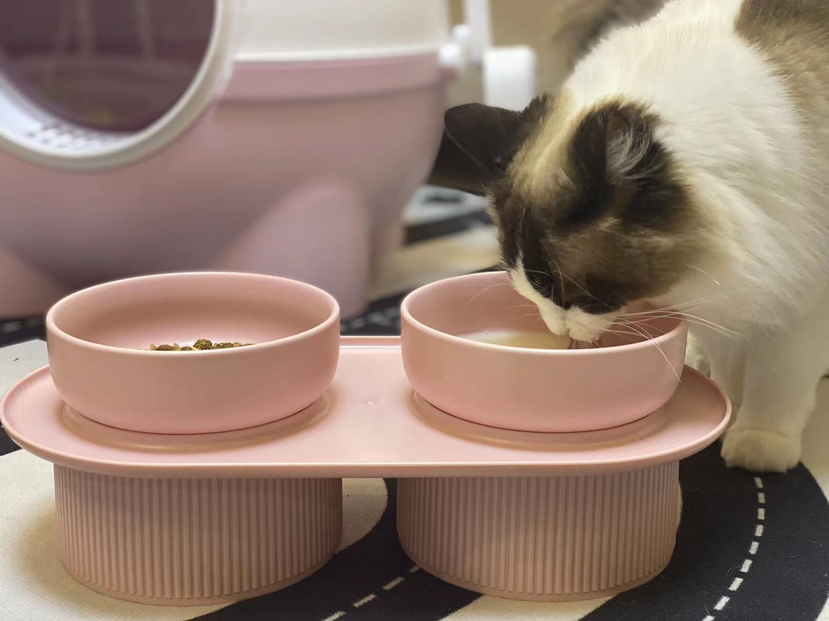 SNUGPETS | SMARTER PET FEEDING, HEALTHIER PET COMPANION!!!